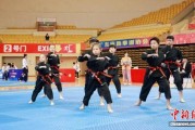 2025年广东省跆拳道联赛总决赛在佛山收官