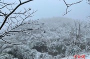 浙江大部迎今冬最冷白天 “速冻模式”将开启