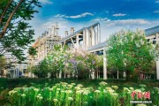 208.86万吨 新疆独山子石化年产乙烯再攀新高