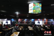 南非介绍G20约堡峰会筹备进展