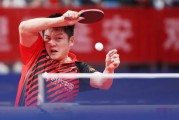 樊振东夺全运会乒乓球男单冠军 4-0横扫刘丁硕