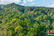 揽山入城 看南昌如何以“一条索道”打开城市山水文旅新格局？