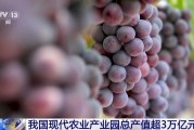 我国现代农业产业园总产值超3万亿元