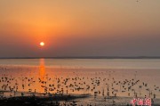 鄱阳湖迎候鸟迁徙高峰 智慧科技守护候鸟越冬